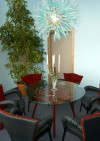 CSA VIP